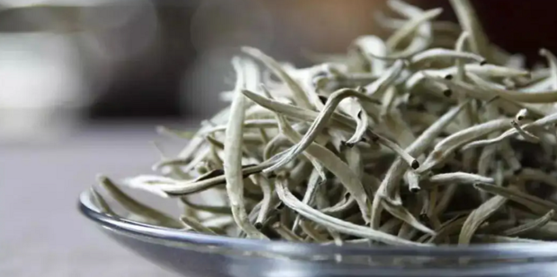 The Production Method OF White Tea The Production Method OF White Tea