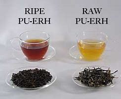 Distinctions Between Raw and Ripe Pu’er Tea Distinctions Between Raw and Ripe Pu’er Tea