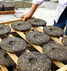 The Production Process of Pu’er Tea The Production Process of Pu’er Tea