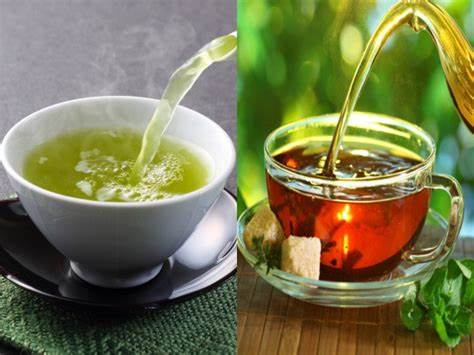 The Distinctive Differences and Intrinsic Ties Between Green Tea and Dark Tea The Distinctive Differences and Intrinsic Ties Between Green Tea and Dark Tea