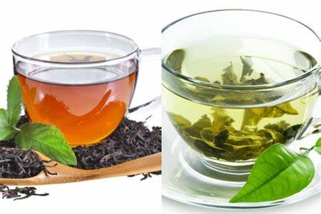 The Difference and Connection Between Green Tea and Black Tea The Difference and Connection Between Green Tea and Black Tea
